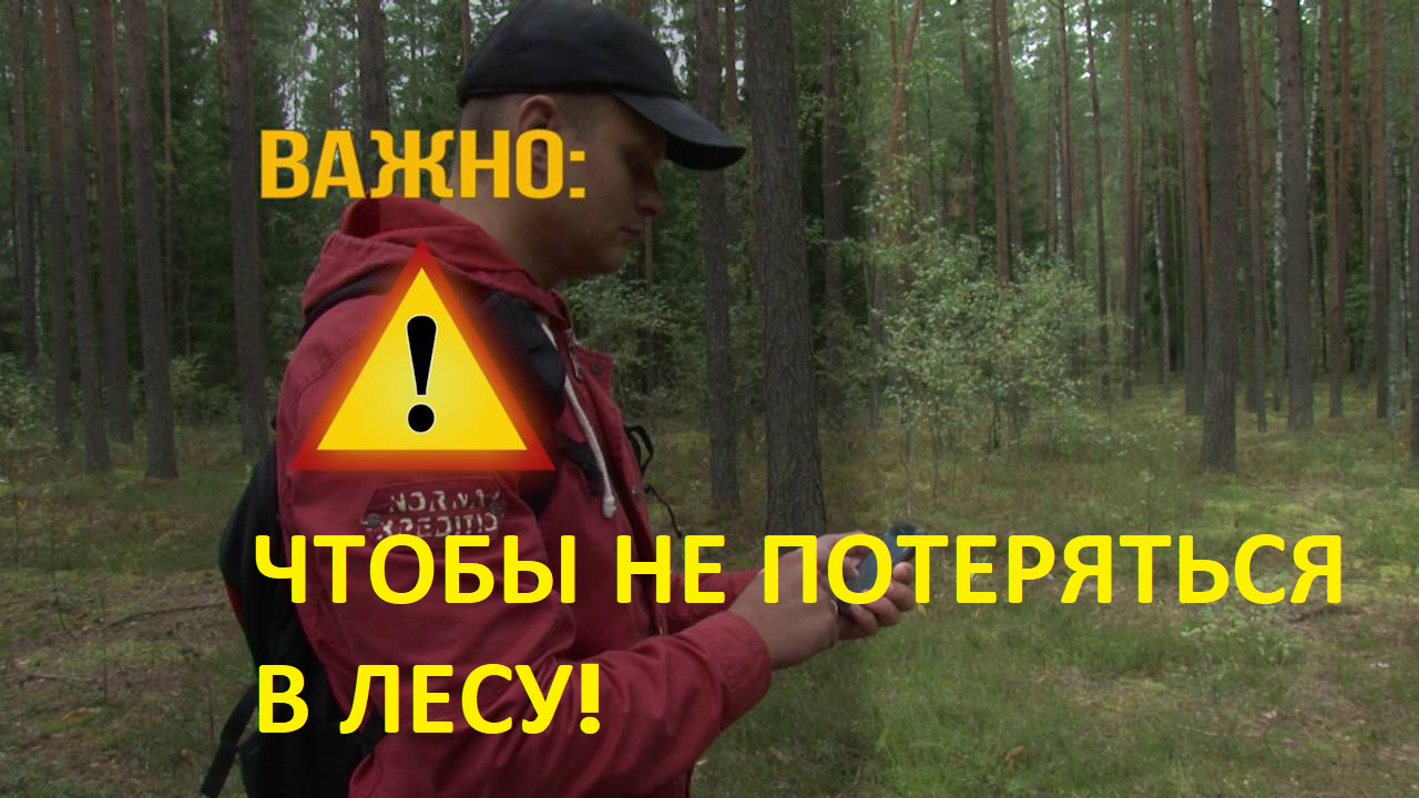 Как не заблудиться в лесу.